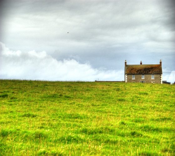 LonelyHouse