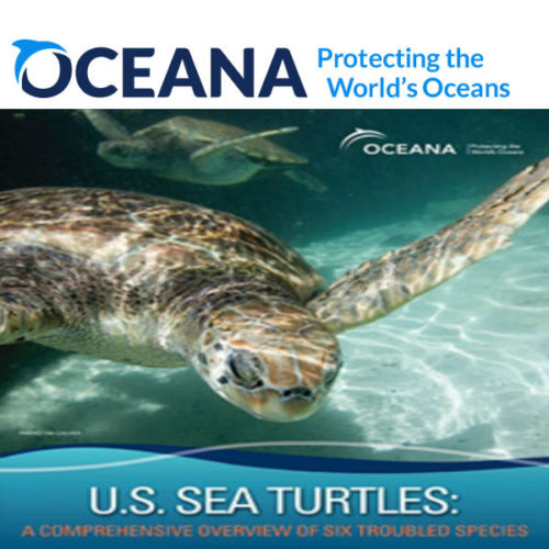 Oceana